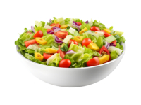 pngtree-a-colorful-garden-salad-bursting-with-freshness-and-crunch-png-image_14863800